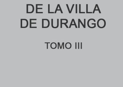 Edad Moderna de la Villa de Durango III